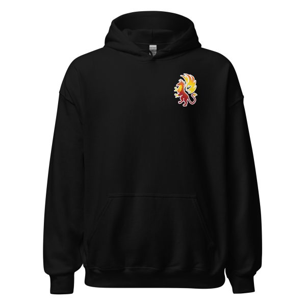 Unisex Heavy Blend Hoodie Black Front 681dfef3f0b1d.jpg