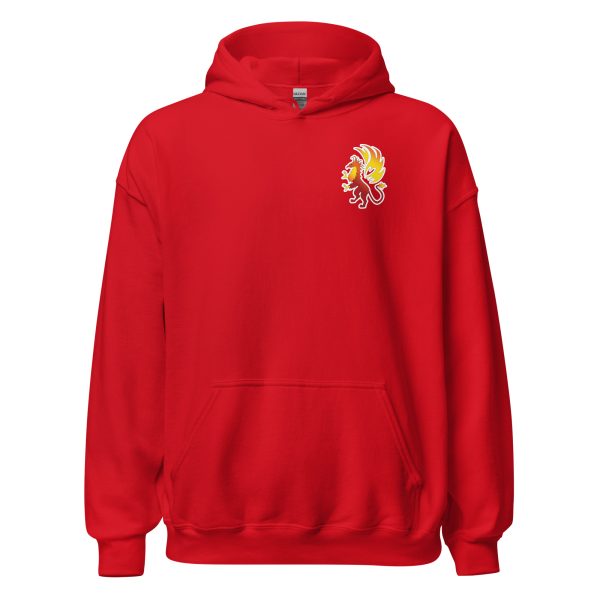 Unisex Heavy Blend Hoodie Red Front 681dfef3f3acc.jpg